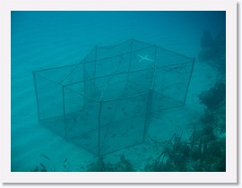 IMG_0148 * Fish Trap * 3072 x 2304 * (1.19MB)