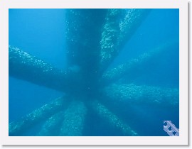 MVI_0218 * VIDEO: Oil Rigs, Schooling fish * 160 x 120 * (13.92MB)